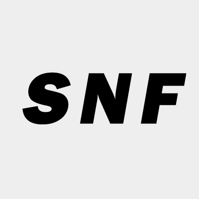 SNF轴承   
